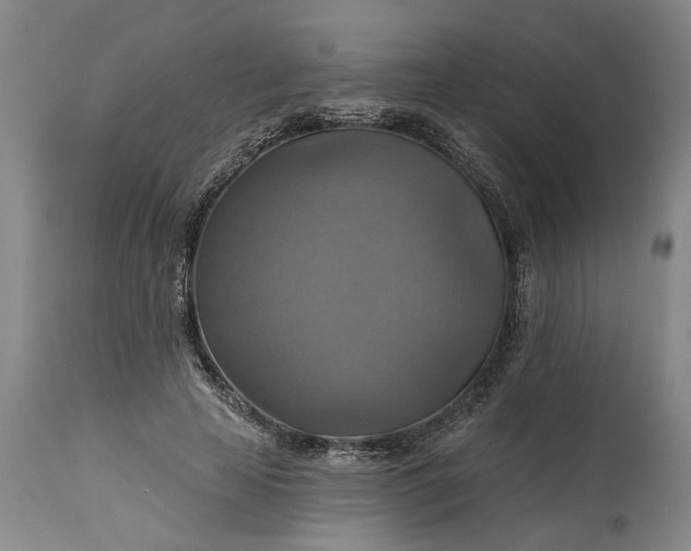 X0000115450641200911181548