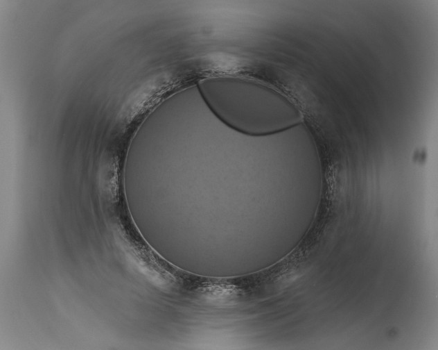 X0000115450642200911181548