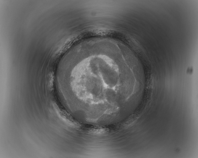 X0000115450646200911181548