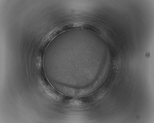 X0000115450648200911181548