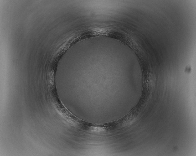 X0000115450649200911181548