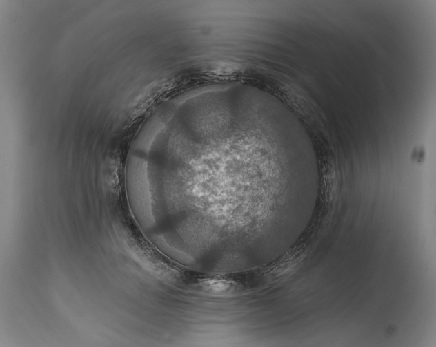 X0000115450654200911181548