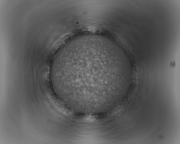 X0000115450656200911181548