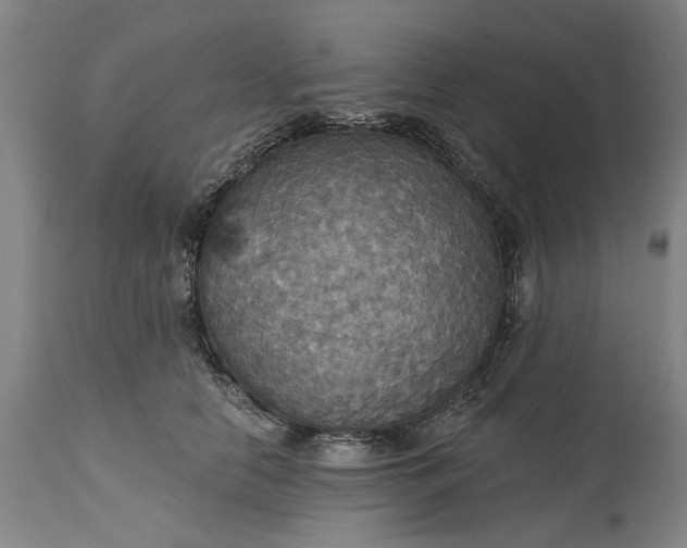 X0000115450658200911181548