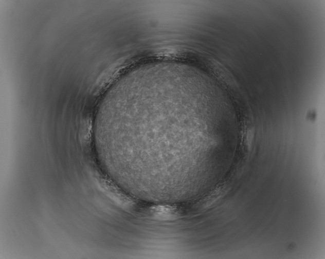 X0000115450660200911181548