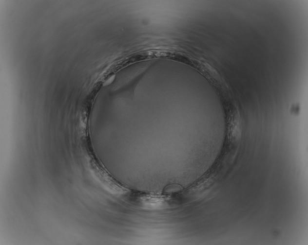 X0000115450661200911181548