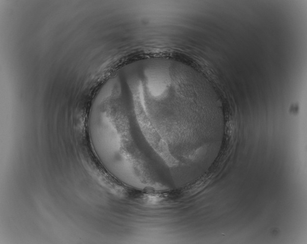 X0000115450662200911181548