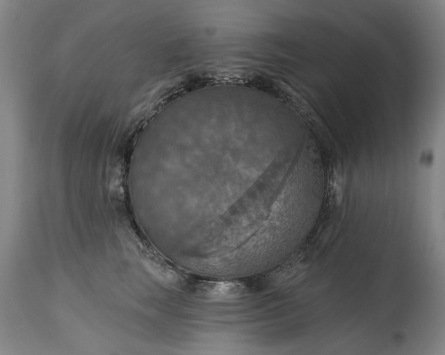 X0000115450663200911181548