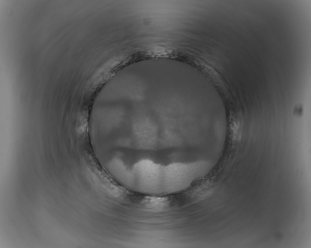 X0000115450665200911181548