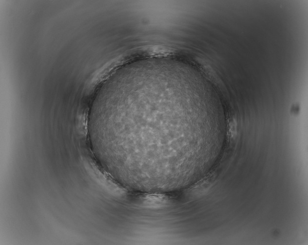 X0000115450666200911181548