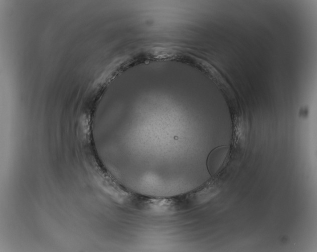 X0000115450667200911181548