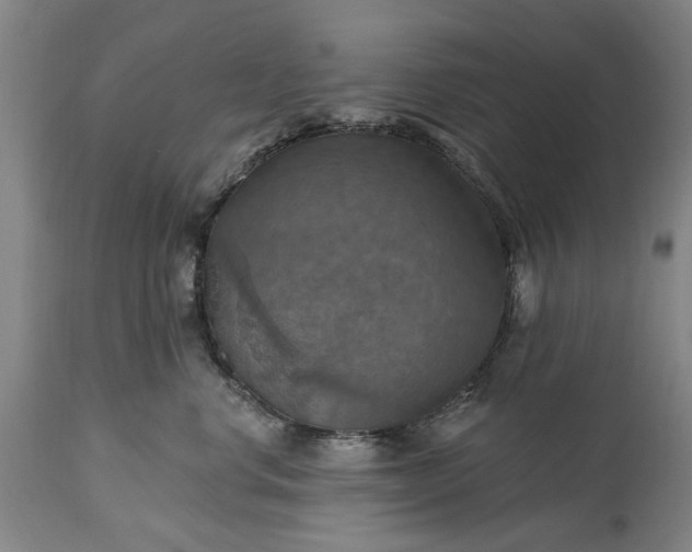 X0000115450668200911181548