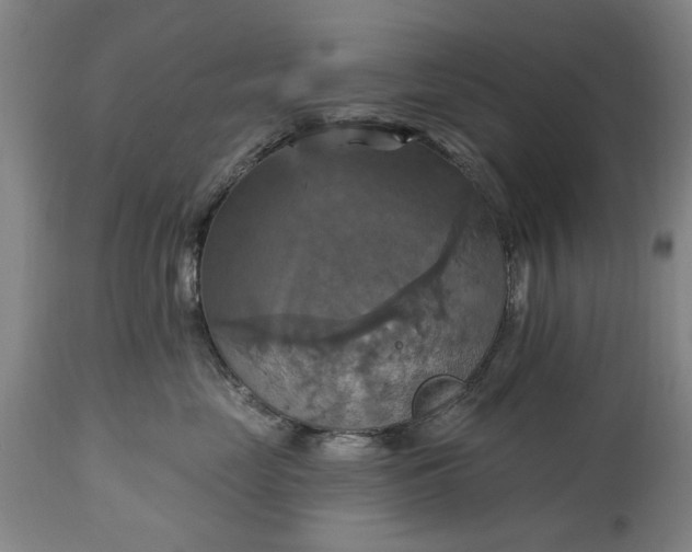 X0000115450669200911181548