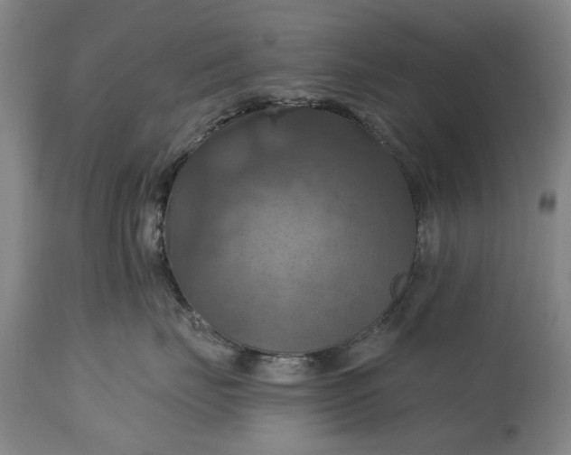 X0000115450671200911181548