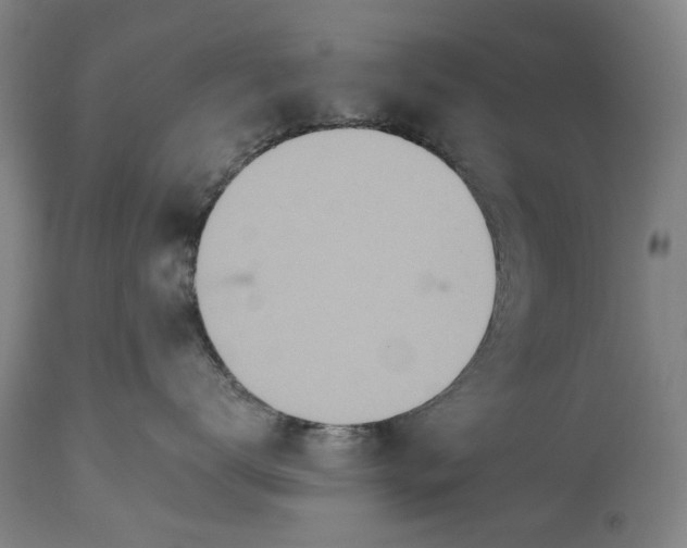 X0000115450672200911181548