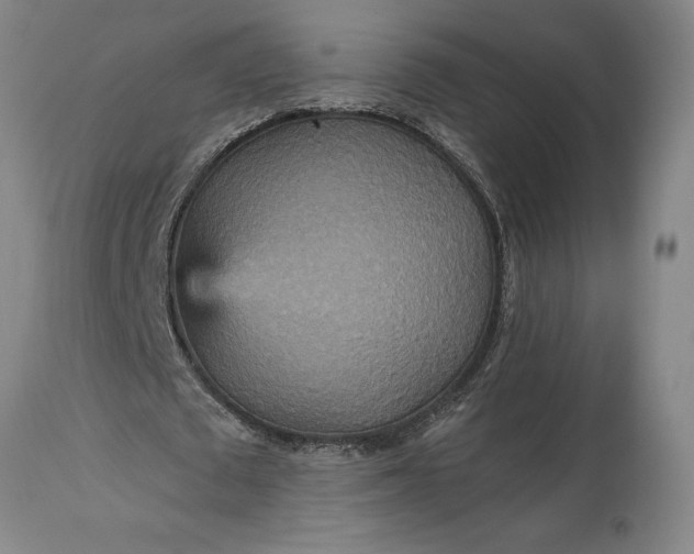 X0000115450673200911181547