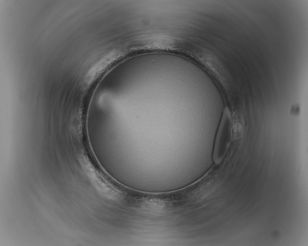 X0000115450677200911181547