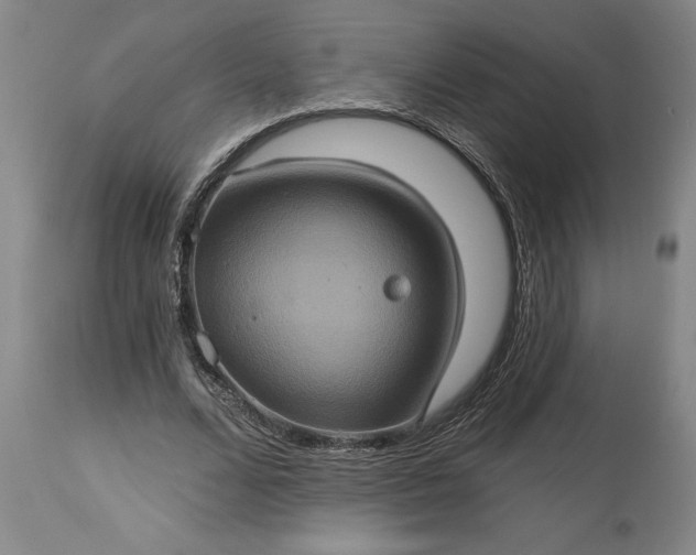 X0000115450680200911181547