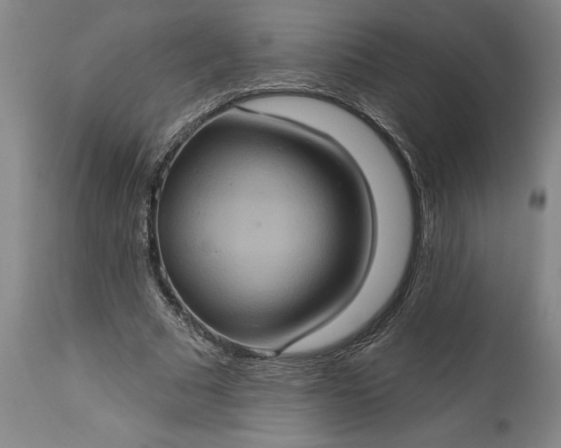 X0000115450681200911181547