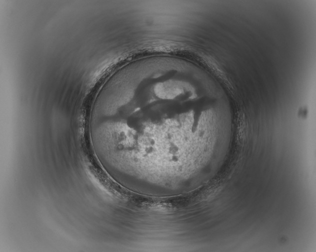 X0000115450683200911181547