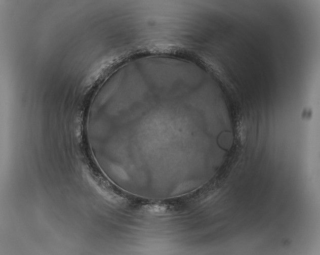 X0000115450687200911181547