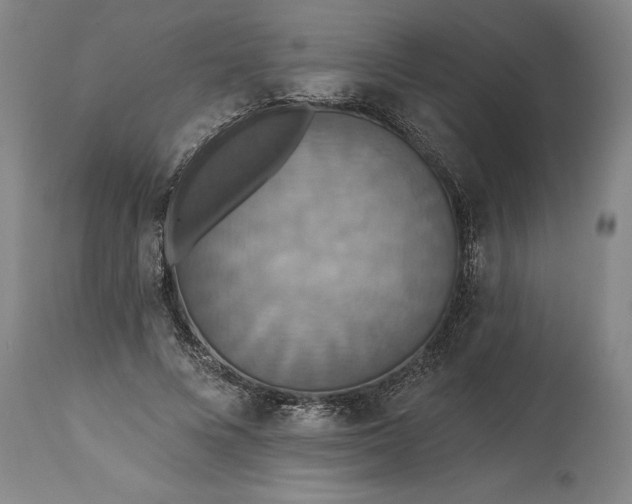 X0000115450688200911181547