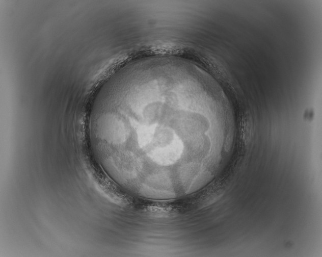 X0000115450690200911181547