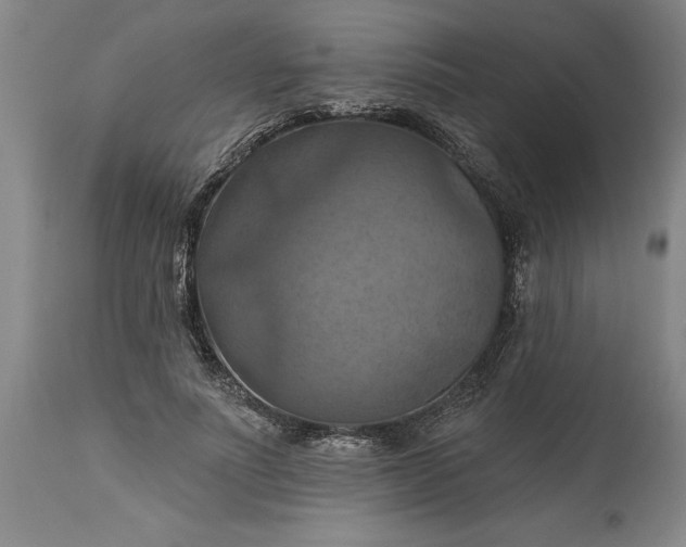 X0000115450691200911181547