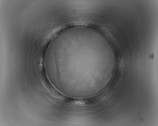 X0000115450692200911181547