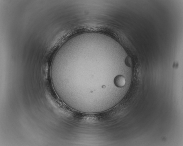 X0000115450694200911181547