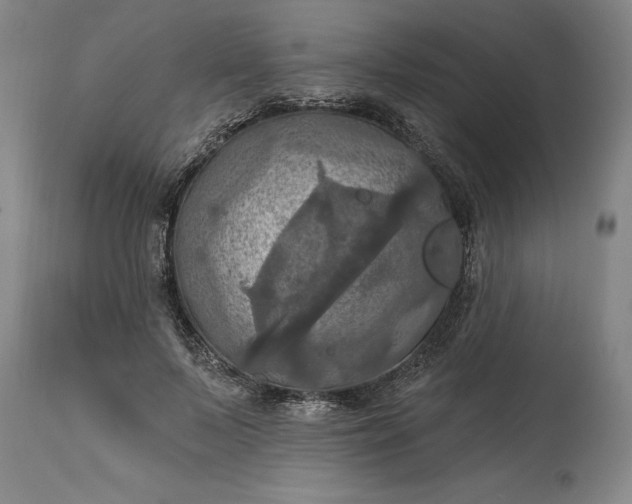 X0000115450695200911181547