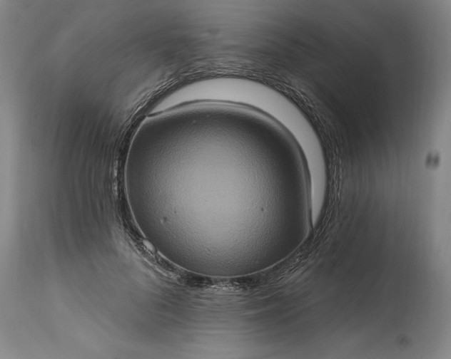 X0000115450696200911181547