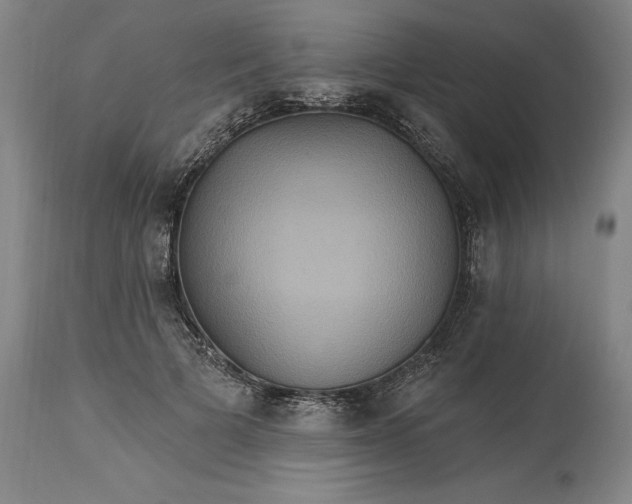 X0000115450697200911181547