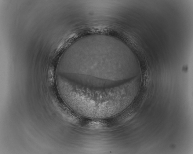 X0000115450699200911181547