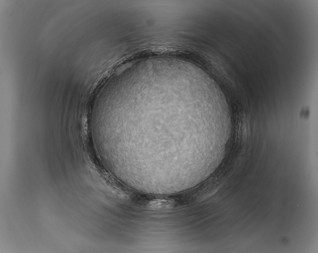 X0000115450700200911181547