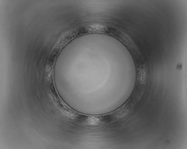 X0000115450701200911181547