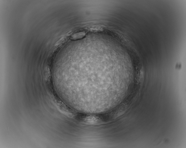 X0000115450704200911181547