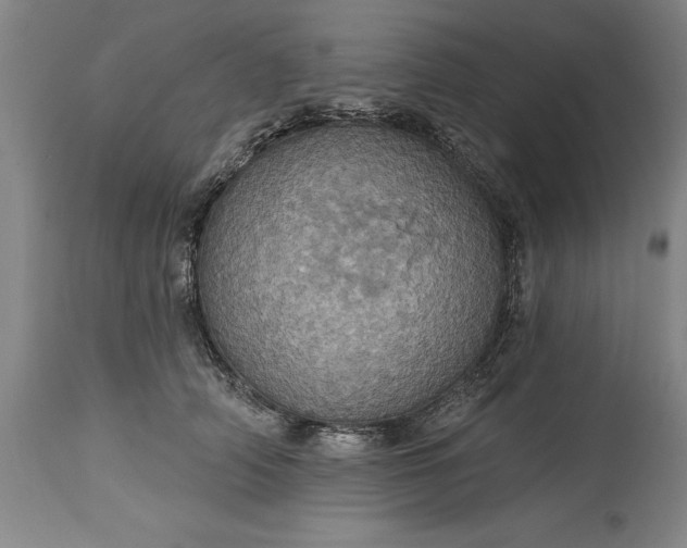 X0000115450706200911181547