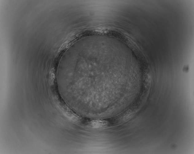 X0000115450707200911181547