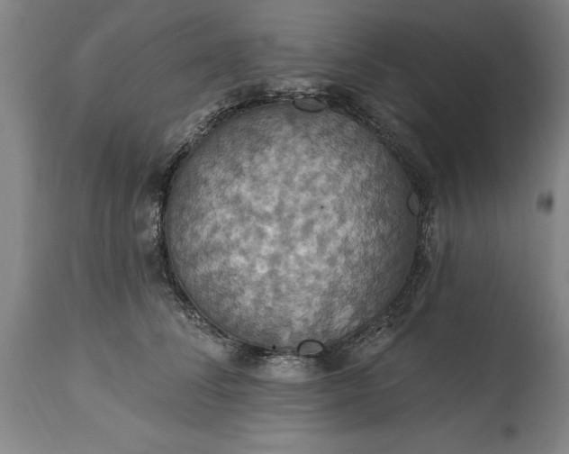 X0000115450708200911181547