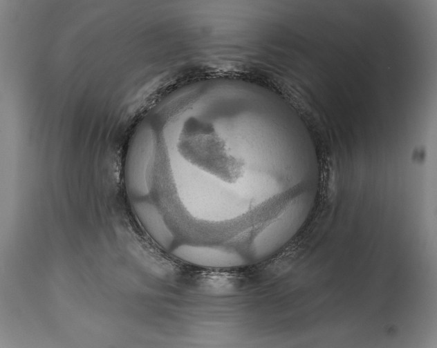 X0000115450710200911181547