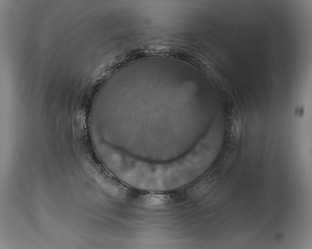 X0000115450711200911181547