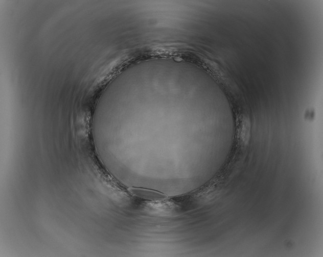 X0000115450712200911181547