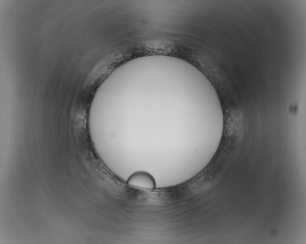 X0000115450713200911181547