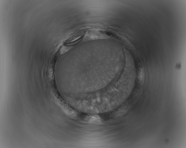 X0000115450715200911181547