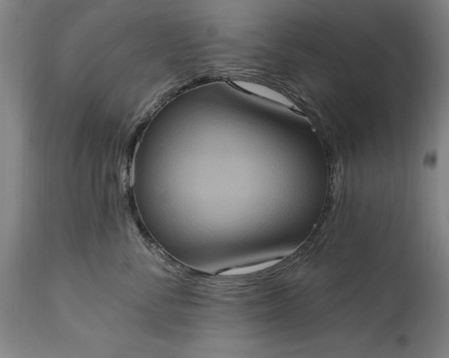 X0000115450716200911181547