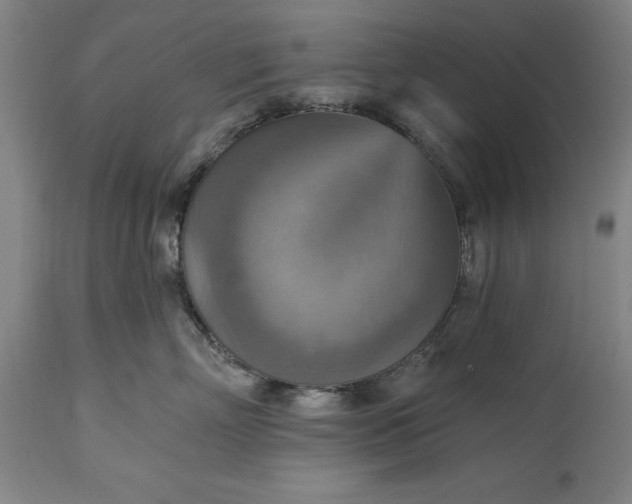 X0000115450718200911181547