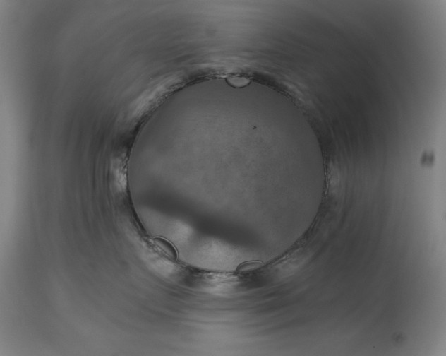 X0000115450719200911181547