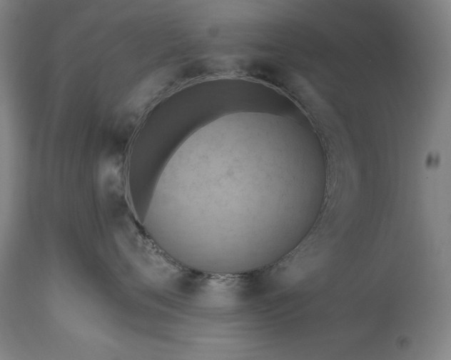 X0000115450720200911181547