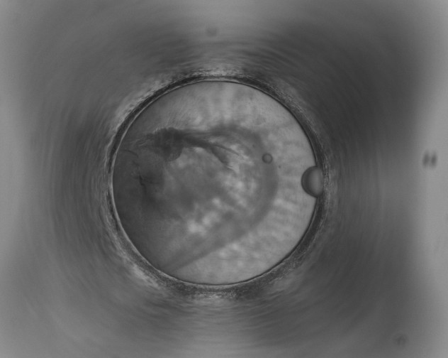 X0000115450721200911181546